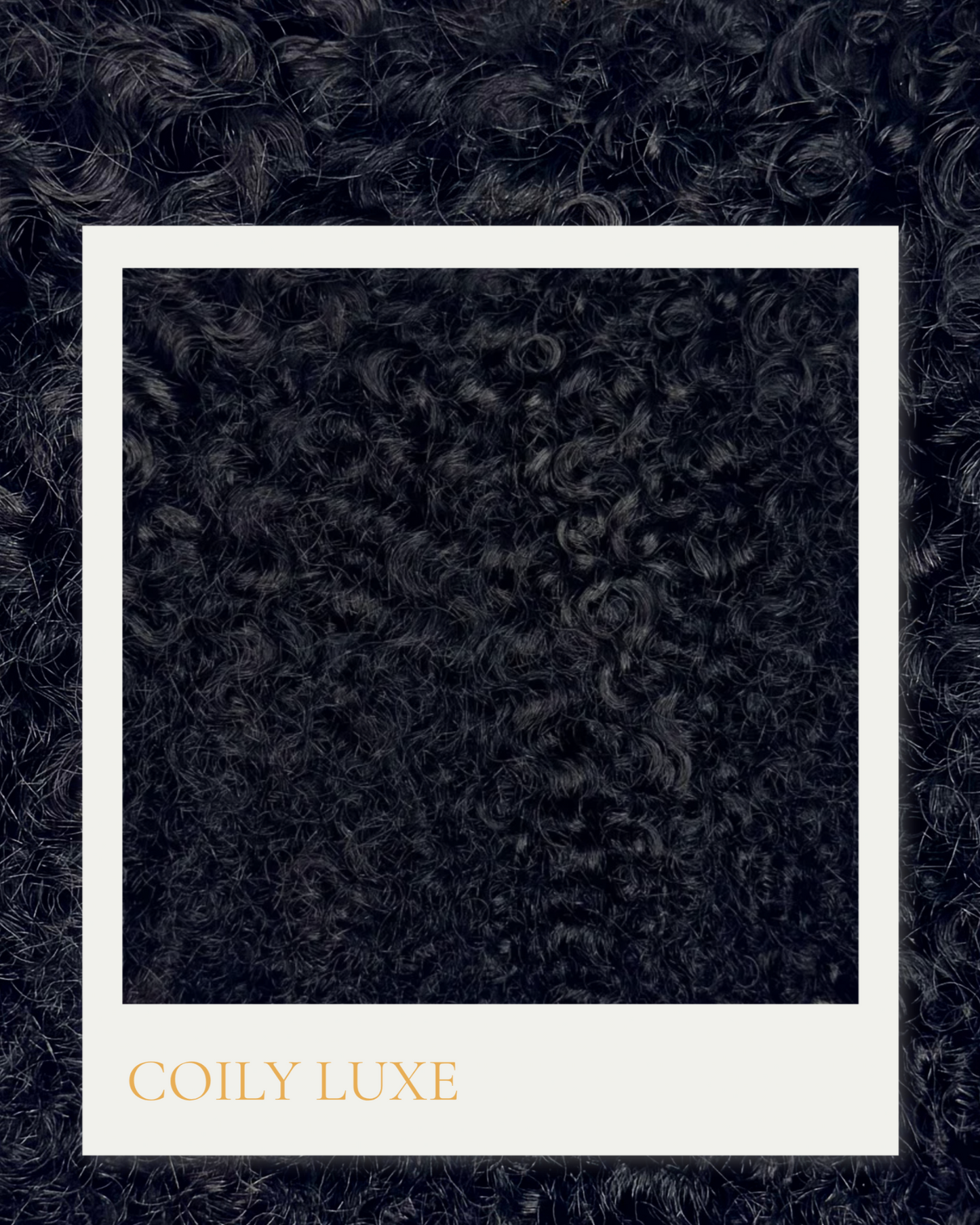 Coily Luxe Pre-Order Deal